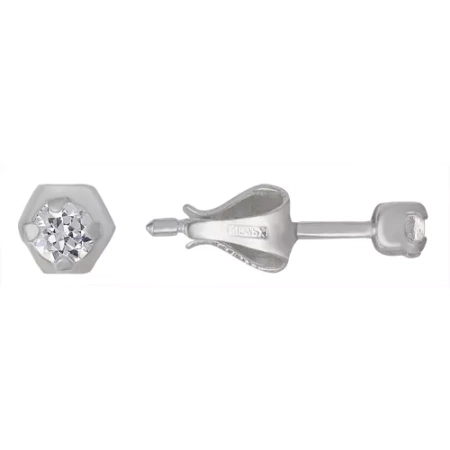 3381204б Серьги (Ag 925)