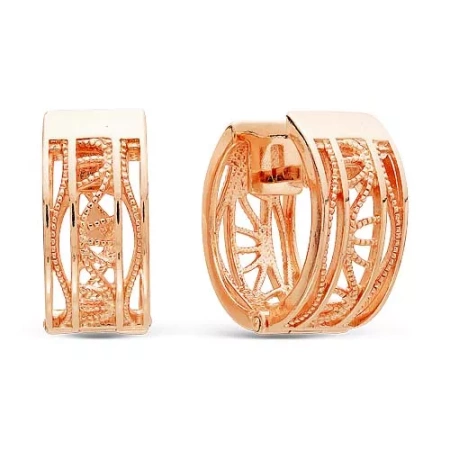 3307923 Серьги (Ag 925)