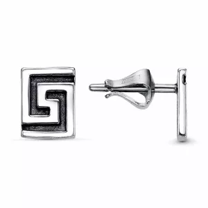 33016802 Серьги (Ag 925)