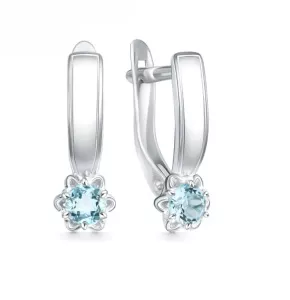 204870-002-0019 Серьги (Ag 925)