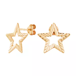 2028614 9п Серьги (Ag 925)