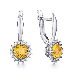 204903-007-0019 Серьги (Ag 925)